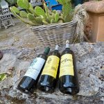 Just laying in the garden - Haritatos vineyard