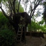 House in the trees - Haritatos vineyard