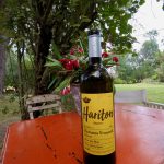 Hariton 2018 - Haritatos vineyard