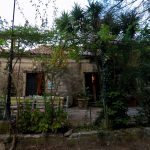 Facing the house - Haritatos vineyard