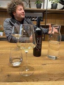 Ronk - Sauvignon Blanc Selectus, 2017
