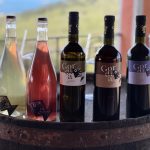 Gordia wines