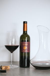Ščurek - Merlot Up, 2016