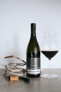 Colnar - Modra frankinja, 2017