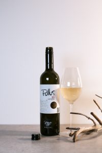 Pullus - Sauvignon, 2020