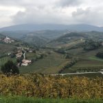 Top of the north-facing vineyard