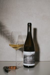 Gross - Iglič, 2019