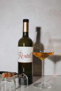 Renčel - Vincent orange, 2018
