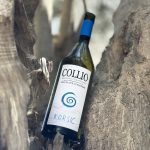 Korsič - Collio DOC, 2023
