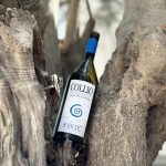 Korsič - Collio DOC, 2023