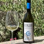 Korsič - Collio DOC, 2023