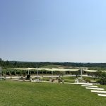 The vineyard of Sv. Ante