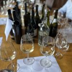 Chardonnay wines